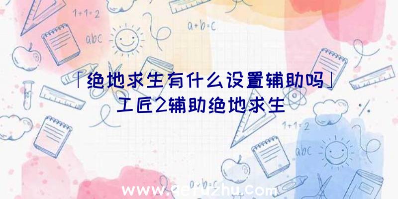 「绝地求生有什么设置辅助吗」|工匠2辅助绝地求生